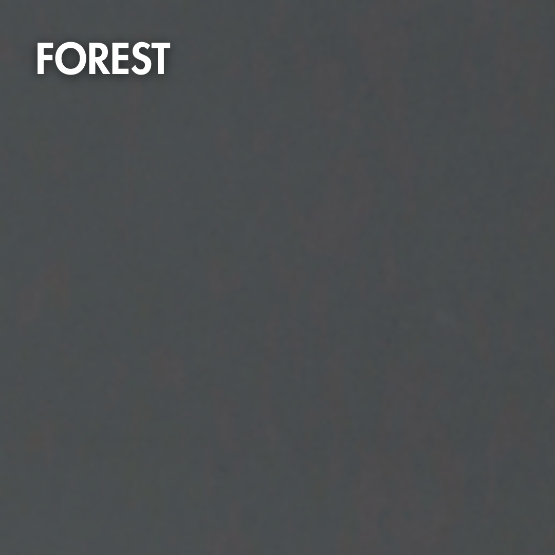 Forest Wall Application